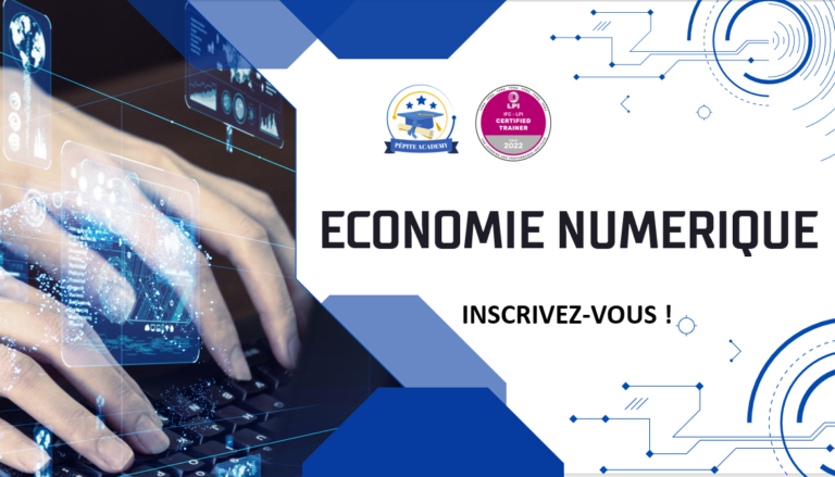Formation sur l&rsquo;économie Numérique